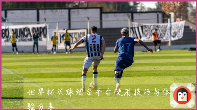 世界杯买球综合平台使用技巧与体验分享