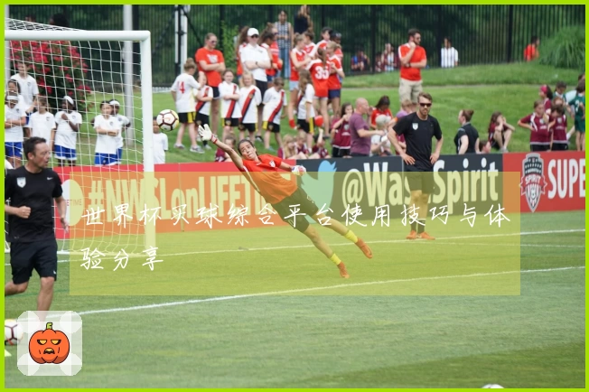 世界杯买球综合平台使用技巧与体验分享