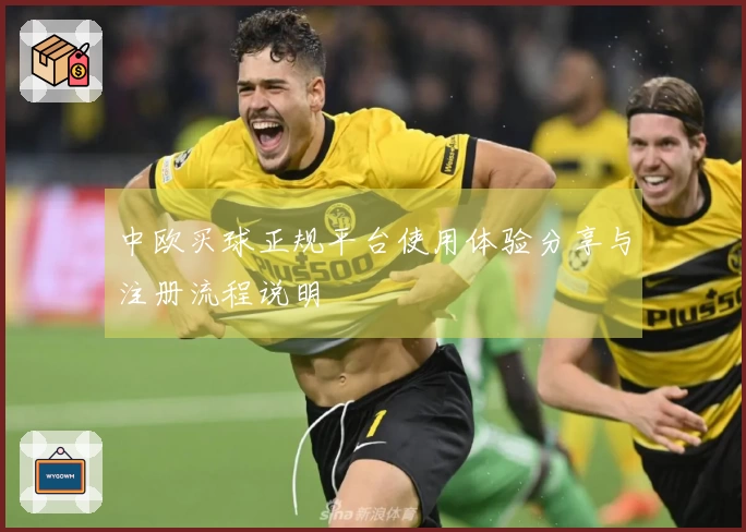 中欧买球正规平台使用体验分享与注册流程说明