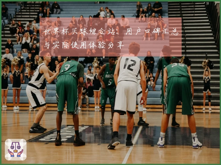 世界杯买球综合站：用户口碑汇总与实际使用体验分享