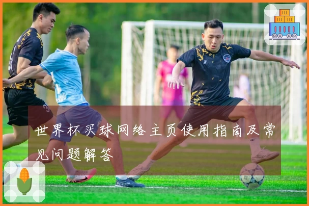世界杯买球网络主页使用指南及常见问题解答