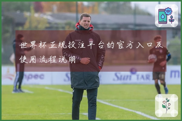 世界杯正规投注平台的官方入口及使用流程说明