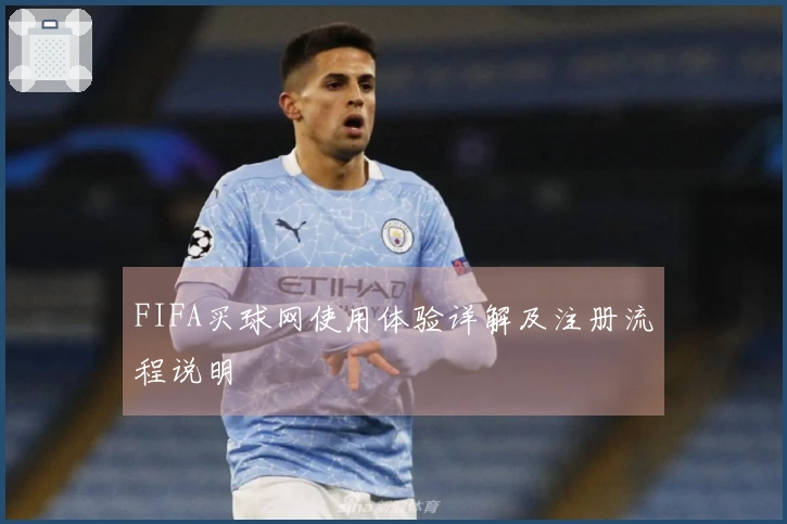 FIFA买球网使用体验详解及注册流程说明
