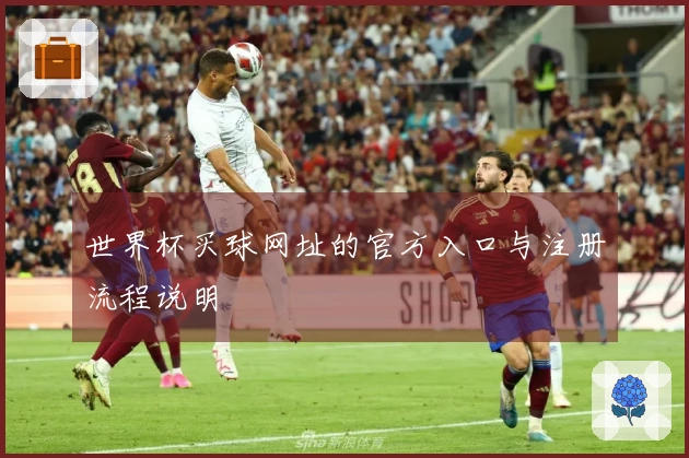 世界杯买球网址的官方入口与注册流程说明